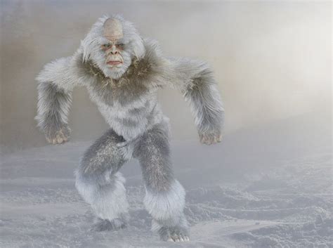 YETI SNOW BEAST 